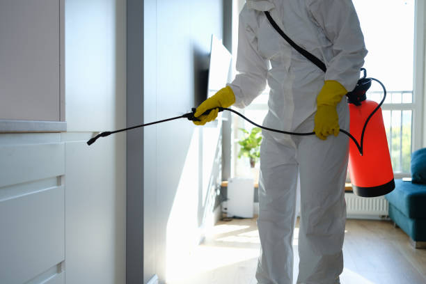 Best DIY Mold Remediation Support Services in Amargosa Valley, NV